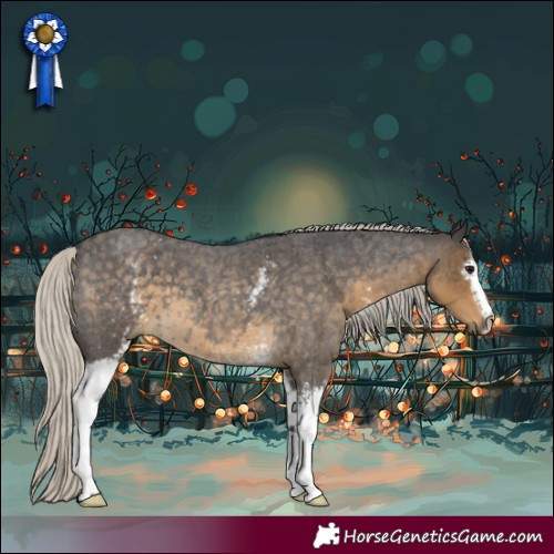 Horse Color:White Spotted Silver Smoky Blue Roan 