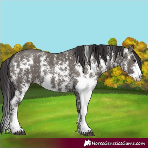 Horse Color:Smoky Grullo Sabino 