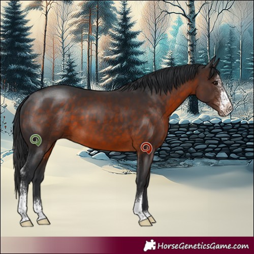 Horse Color:Brown Sabino 