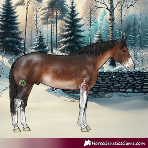 Horse Color:Brown Sabino 