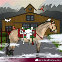 Horse Color:Buckskin Dun  and Buckskin Dun 