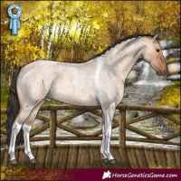 Horse Color:Bay Roan Dun Tobiano Rabicano