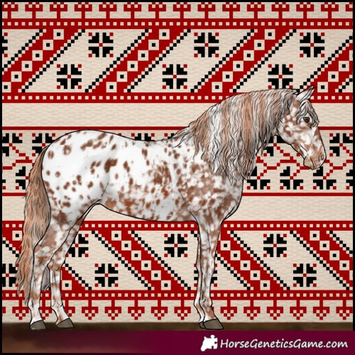 Horse Color:Chestnut Blanket and Chestnut Blanket