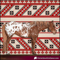 Horse Color:Chestnut Appaloosa  and Chestnut Appaloosa 