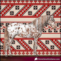 Horse Color:Chestnut Blanket  and Chestnut Blanket 