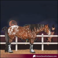 Horse Color:Bay Blanket  and Bay Blanket 
