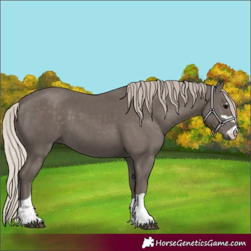 Horse Color:Silver Black 