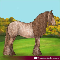 Horse Color:Gold Champagne Pearl Rabicano  and Liver Chestnut Pearl Rabicano 