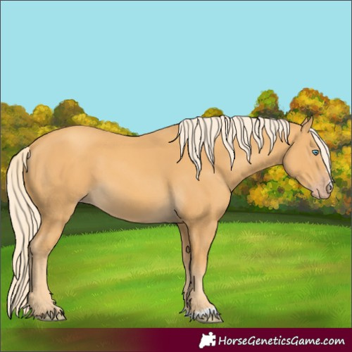 Horse Color:Gold Cream Champagne 