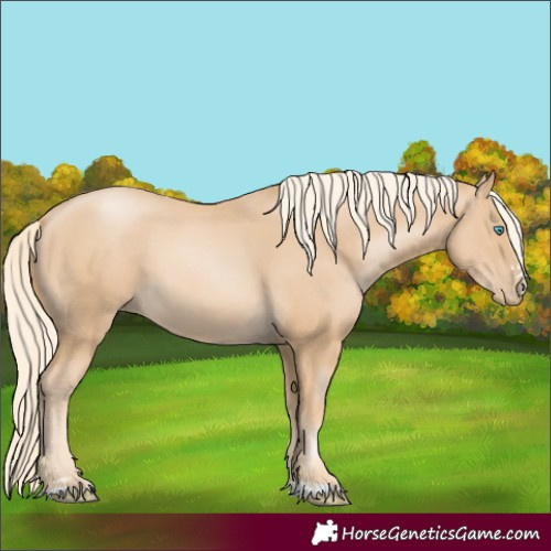 Horse Color:Palomino Pearl 