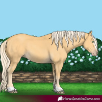 Horse Color:Gold Cream Champagne