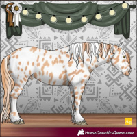 Horse Color:Gold Champagne Leopard 