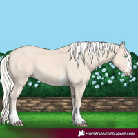Horse Color:Cremello 