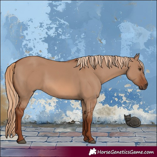 Horse Color:Red Dun 