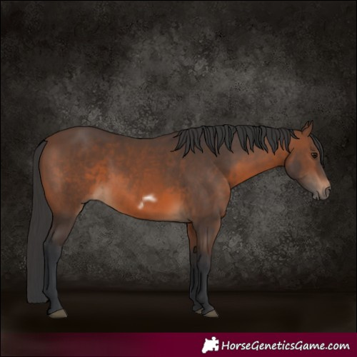 Horse Color:Brown Frame 