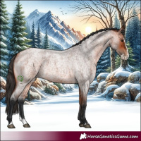 Horse Color:Bay Roan Splash 