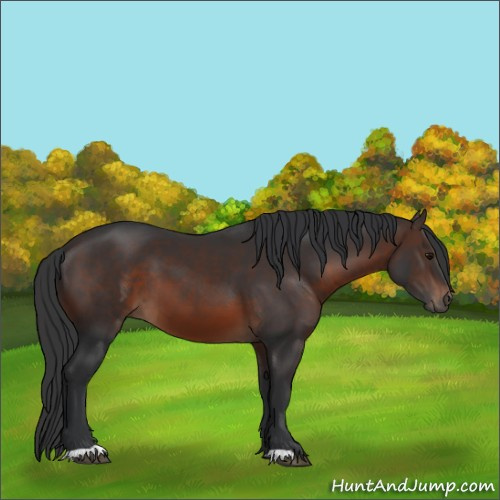 Horse Color:Brown 