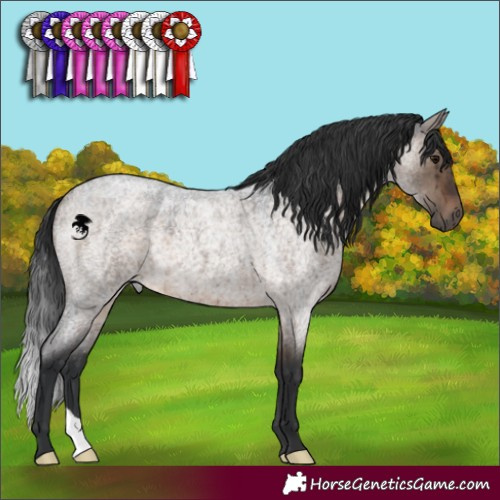 Horse Color:Brown Roan Dun Brindle