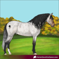Horse Color:Brown Roan Dun Brindle 