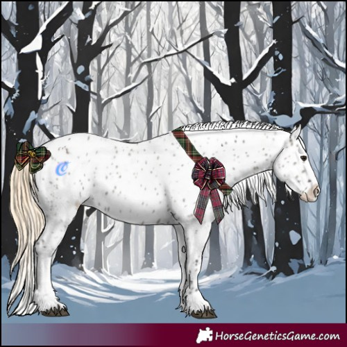 Horse Color:Smoky Grullo Appaloosa  and Smoky Grullo Appaloosa 