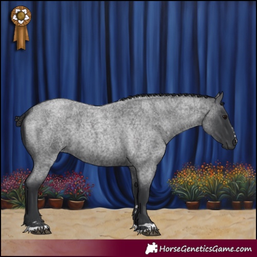 Horse Color:Blue Roan 
