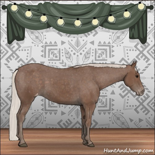 Horse Color:Silver Black Appaloosa 