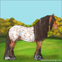 Horse Color:Bay Near Leopard and Bay Near Leopard