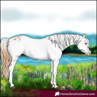 Horse Color:Chestnut Snowflake Varnish  and Chestnut Snowflake Varnish 