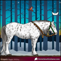 Horse Color:Liver Chestnut Sabino Splash Appaloosa and Liver Chestnut Sabino Splash Appaloosa