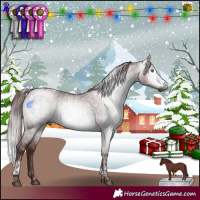 Horse Color:Gray Chocolate Brown Chinchilla Dun Tobiano and Gray Chocolate Brown Chinchilla Dun Tobiano