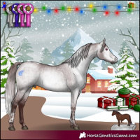 Horse Color:Gray Chocolate Brown Chinchilla Dun Tobiano  and Gray Chocolate Brown Chinchilla Dun Tobiano 
