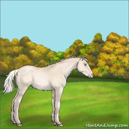 Horse Color:Silver Smoky Grullo Pearl Mushroom 