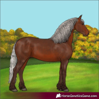 Horse Color:Silver Brown 