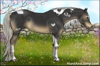 Horse Color:Liver Chestnut Tobiano Rabicano 