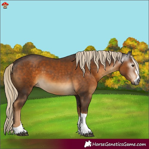 Horse Color:Gray Chocolate Palomino 