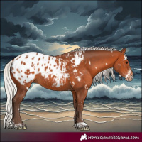 Horse Color:White Spotted Silver Bay Sabino Blanket Rabicano 