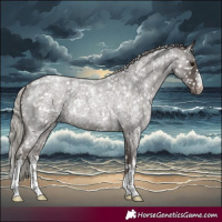 Horse Color:White Spotted Silver Blue Roan Snowflake Varnish Rabicano 