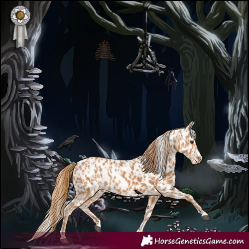 Horse Color:Chestnut Near Leopard and Chestnut Near Leopard