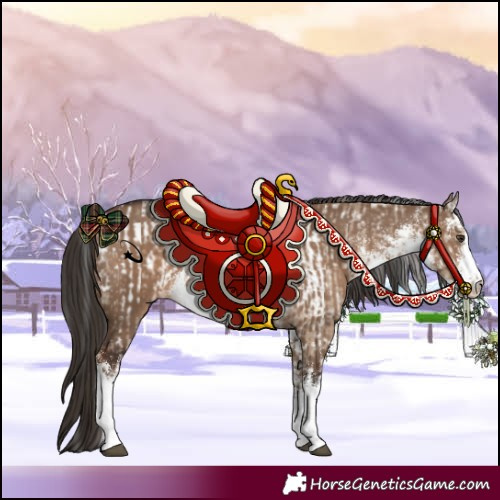 Horse Color:White Spotted Liver Red Dun Appaloosa and White Spotted Liver Red Dun