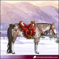 Horse Color:White Spotted Liver Red Dun Blanket  and White Spotted Liver Red Dun 