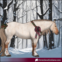 Horse Color:Red Dun Roan  and Red Dun Roan 