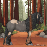 Horse Color:Red Dun and Grullo