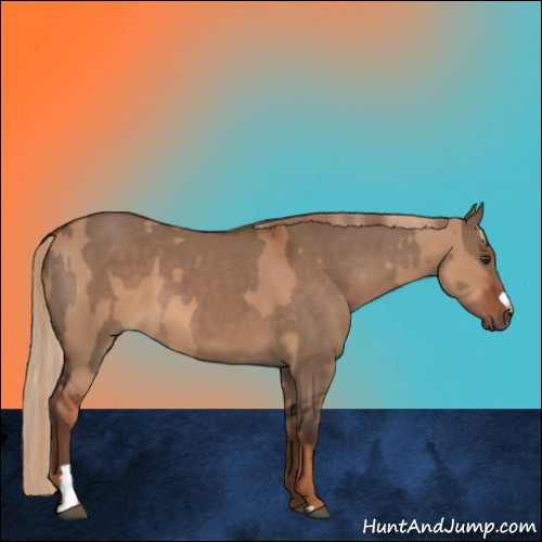 Horse Color:Red Dun  and Liver Red Dun 