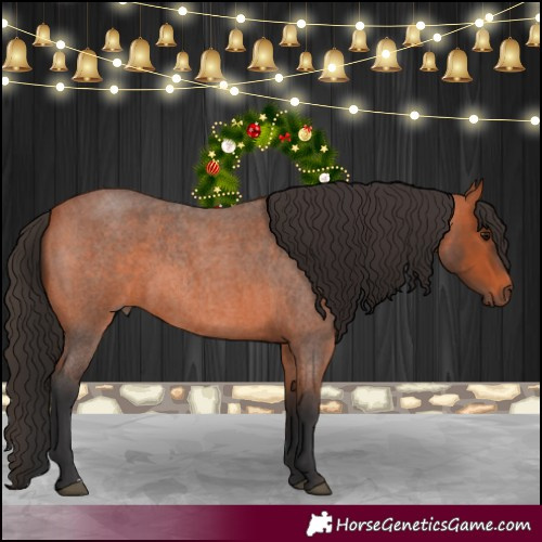 Horse Color:Bay Roan 
