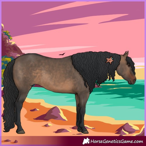 Horse Color:Brown Dun 