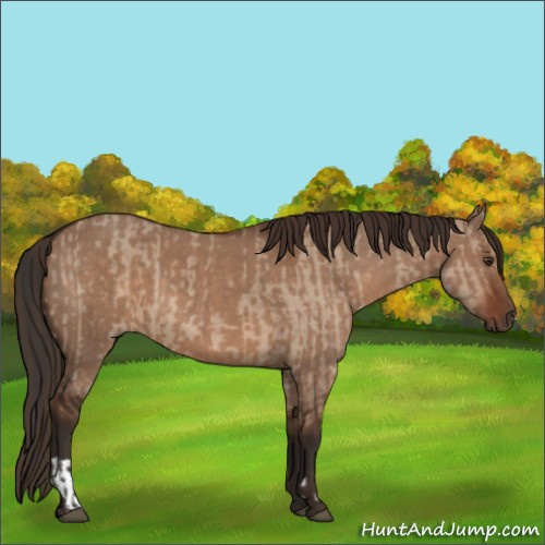 Horse Color:Liver Red Dun and Liver Red Dun