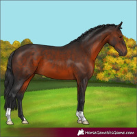 Horse Color:Brown 