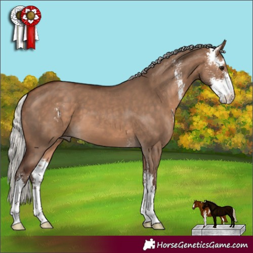 Horse Color:Silver Bay Dun Sabino 
