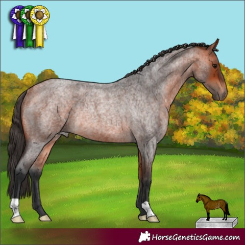 Horse Color:Bay Roan Rabicano 