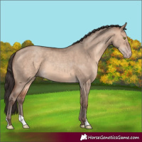 Horse Color:Amber Champagne Dun 